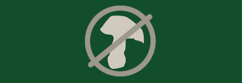 pesticide icon