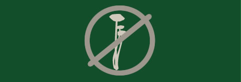 pesticide icon